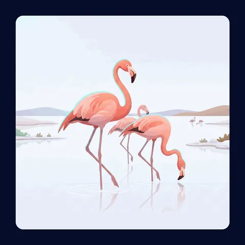 Pink flamingos standing in shallow water.